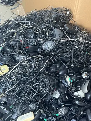 Computer Mouse
