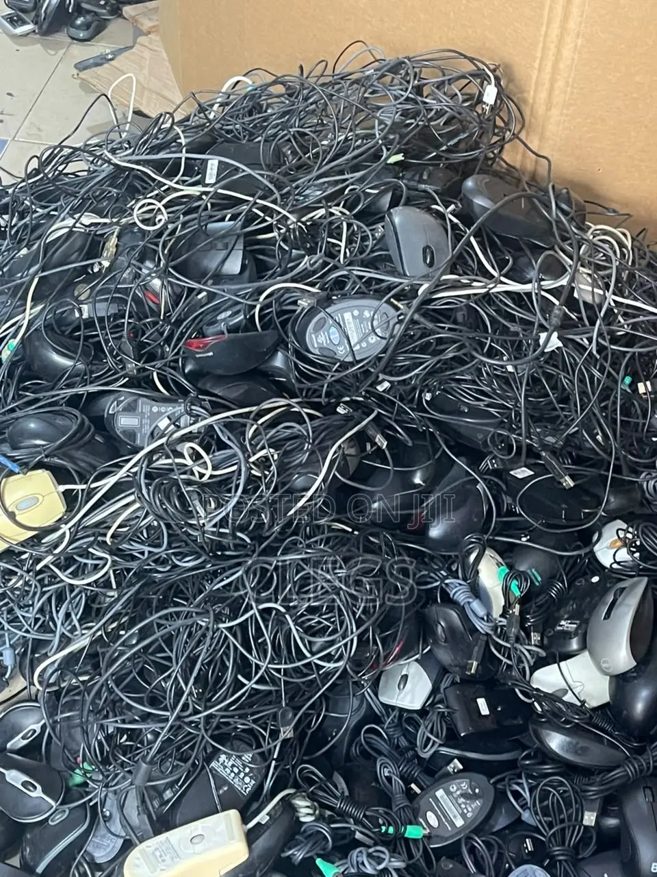 Computer Mouse