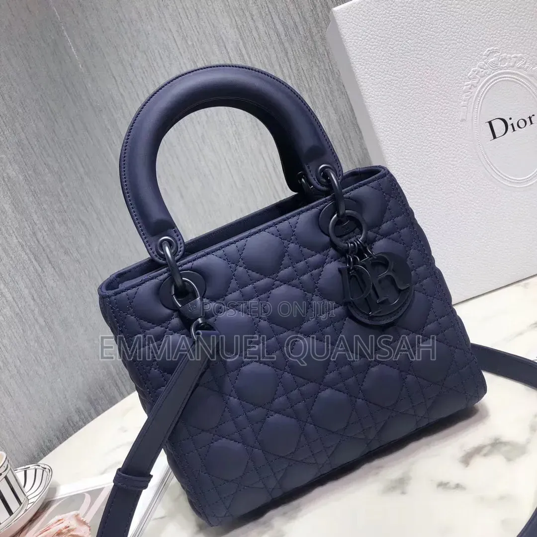Dior Iconic Handbag