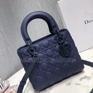 Dior Iconic Handbag