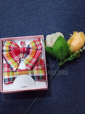 Colourful Checkered Bowtie