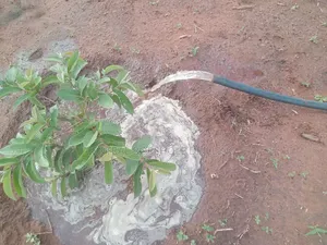 Lartebiokorshie Borehole Drilling and Old Borehole Repair