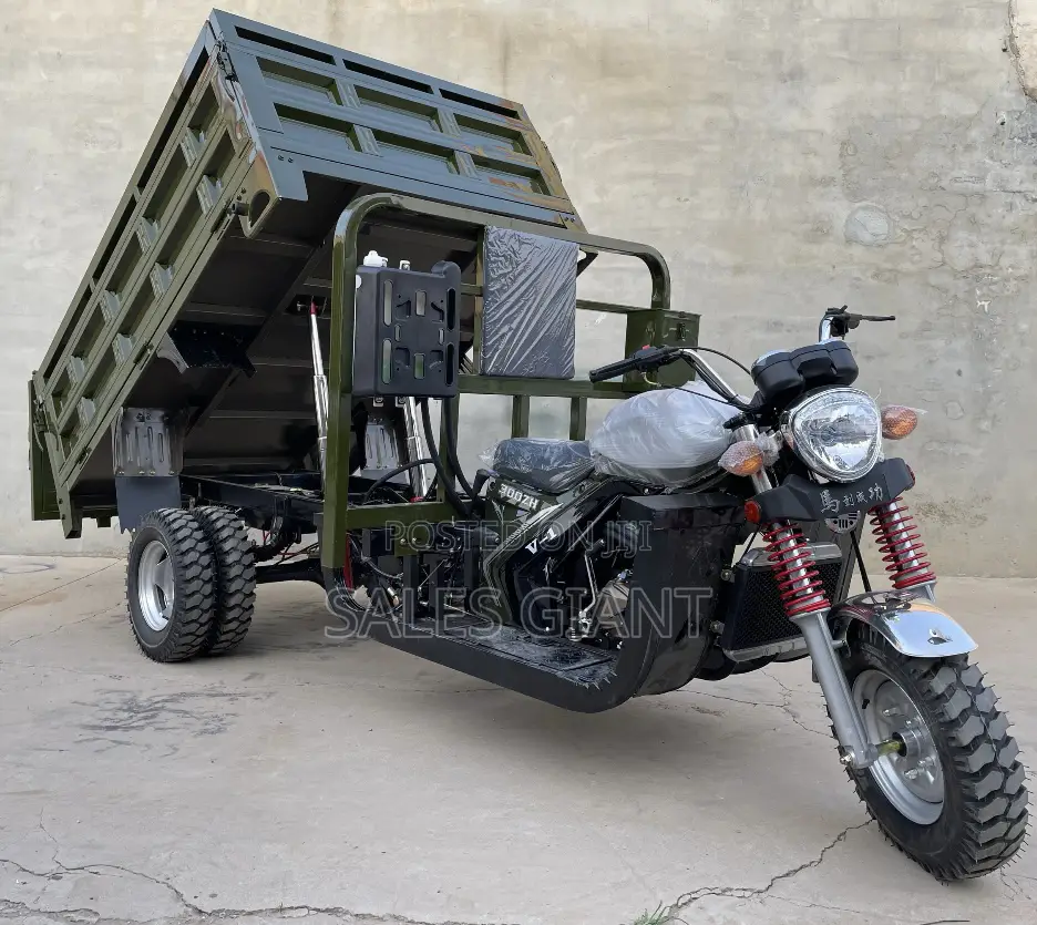 New Tricycle 2024 Blue
