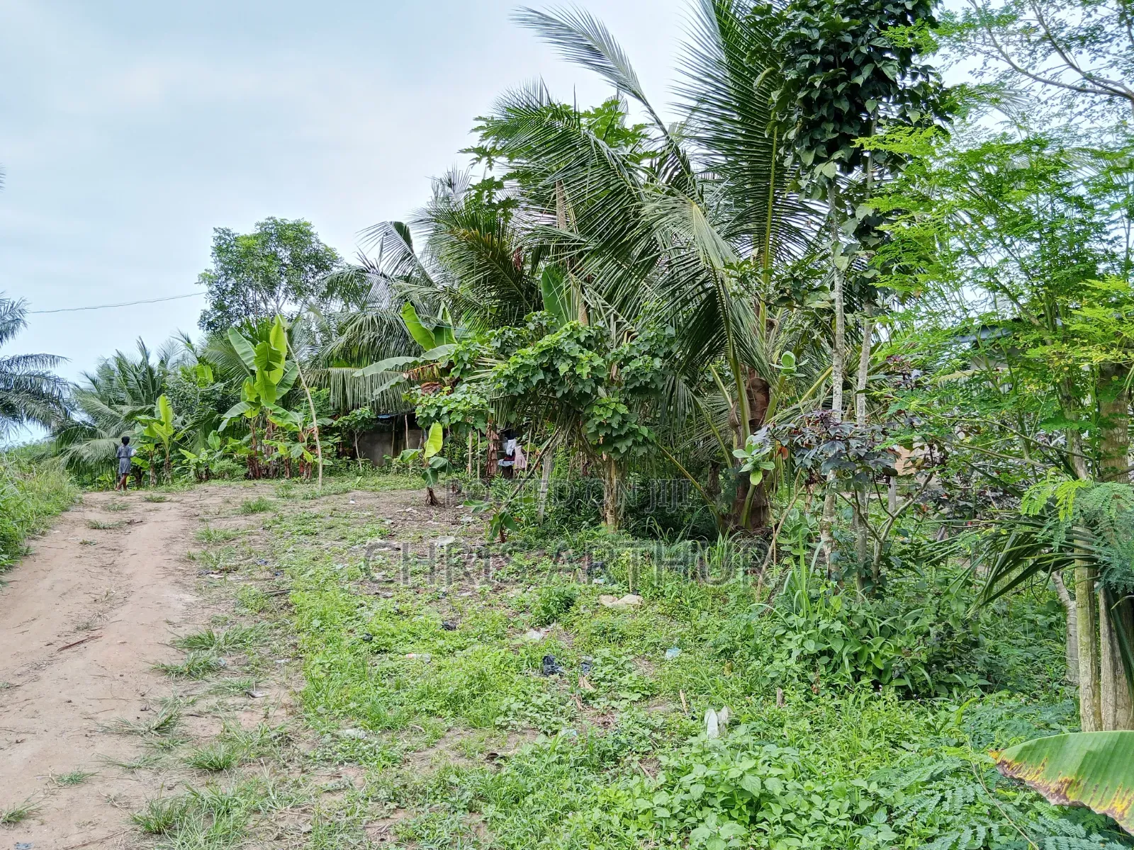 4bdrm House in Komenda/Edina/Eguafo/Abirem Municipal for sale