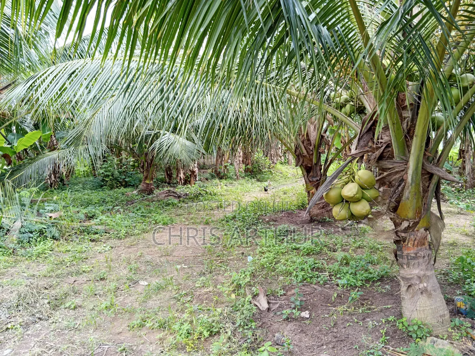 4bdrm House in Komenda/Edina/Eguafo/Abirem Municipal for sale