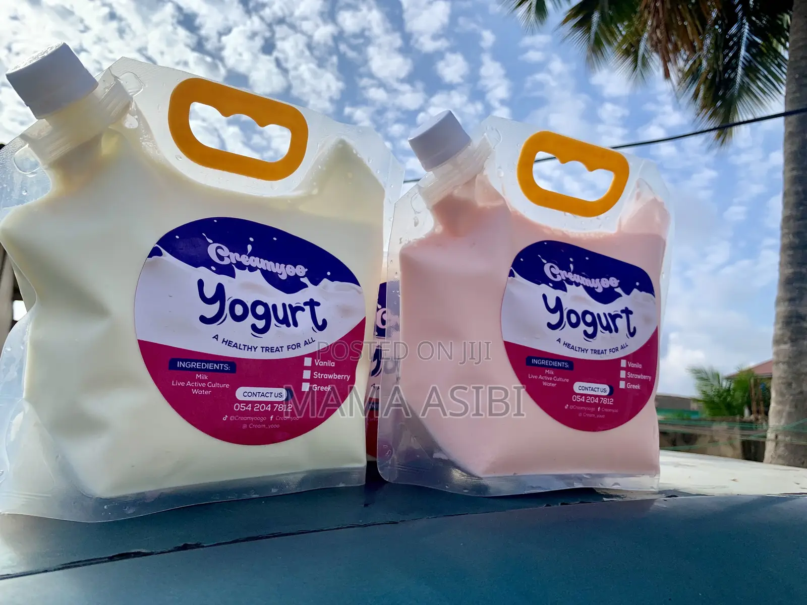Creamy Probiotic Yoggurt
