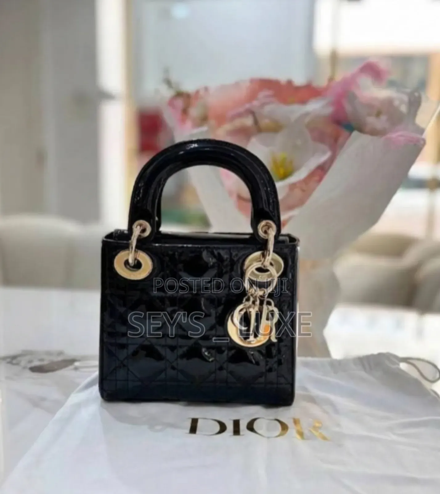 Dior Mini Handbag