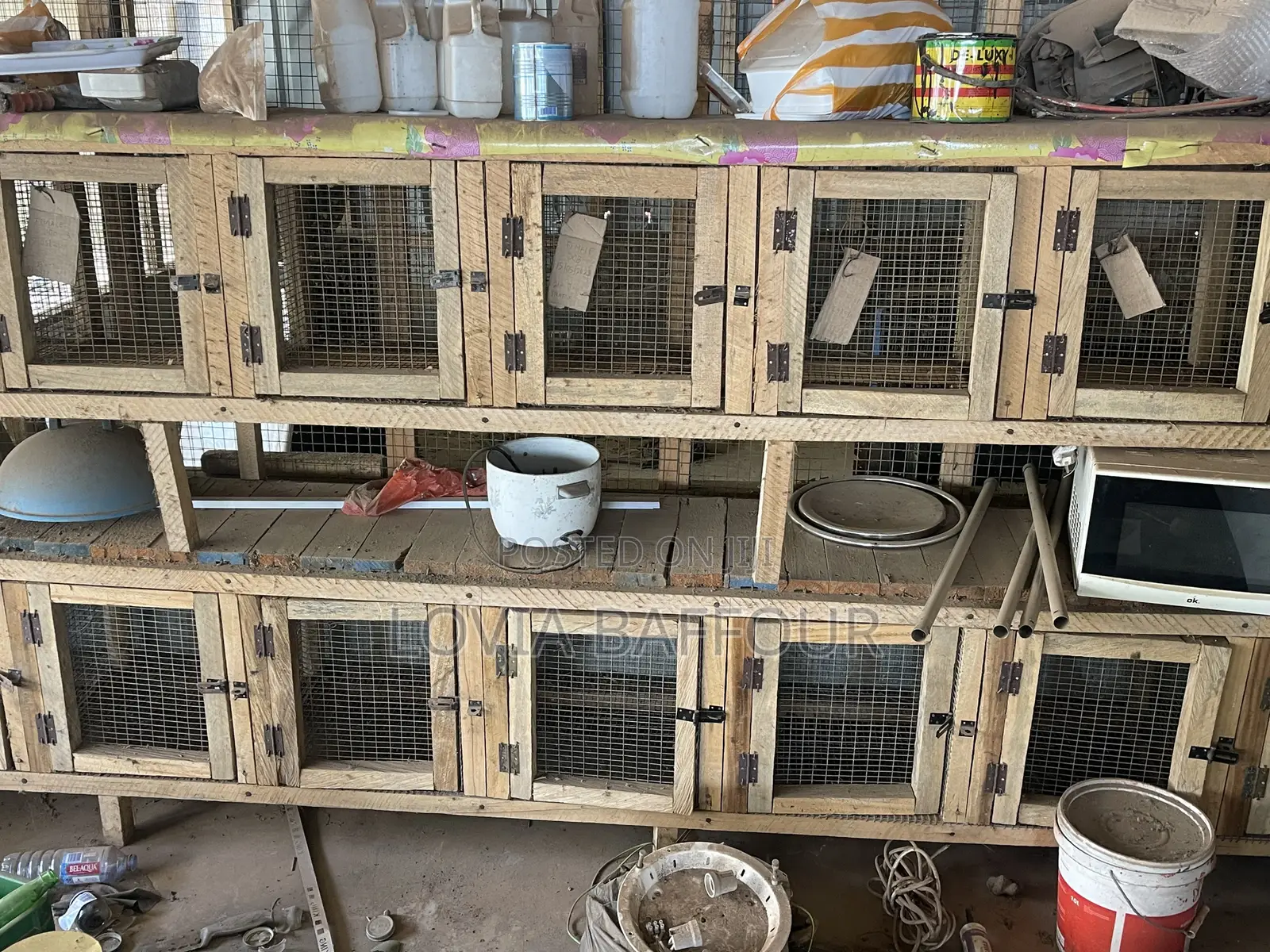 20 Rooms Grass Cutter and Rabbit Cage at Gbetsile