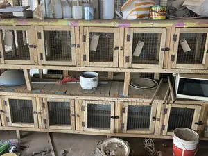 20 Rooms Grass Cutter and Rabbit Cage at Gbetsile