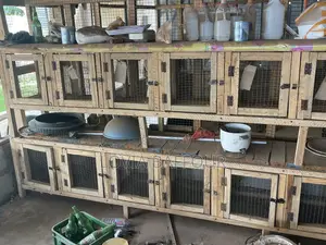 20 Rooms Grass Cutter and Rabbit Cage at Gbetsile