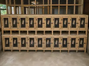 20 Rooms Grass Cutter and Rabbit Cage at Gbetsile