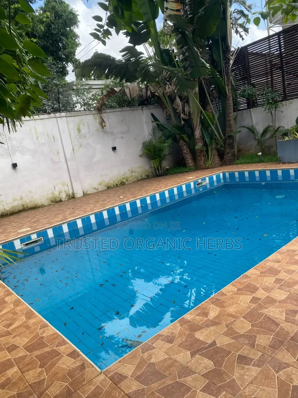 4bdrm House in Prime Estate Deals, Airport Residential Area for rent