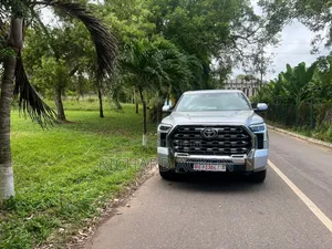 Toyota Tundra 2024 Gray
