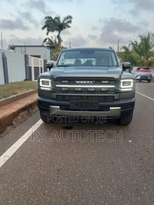 New Haval Menglong 2025 Gray