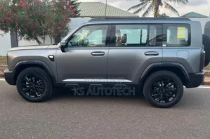 New Haval Menglong 2025 Gray