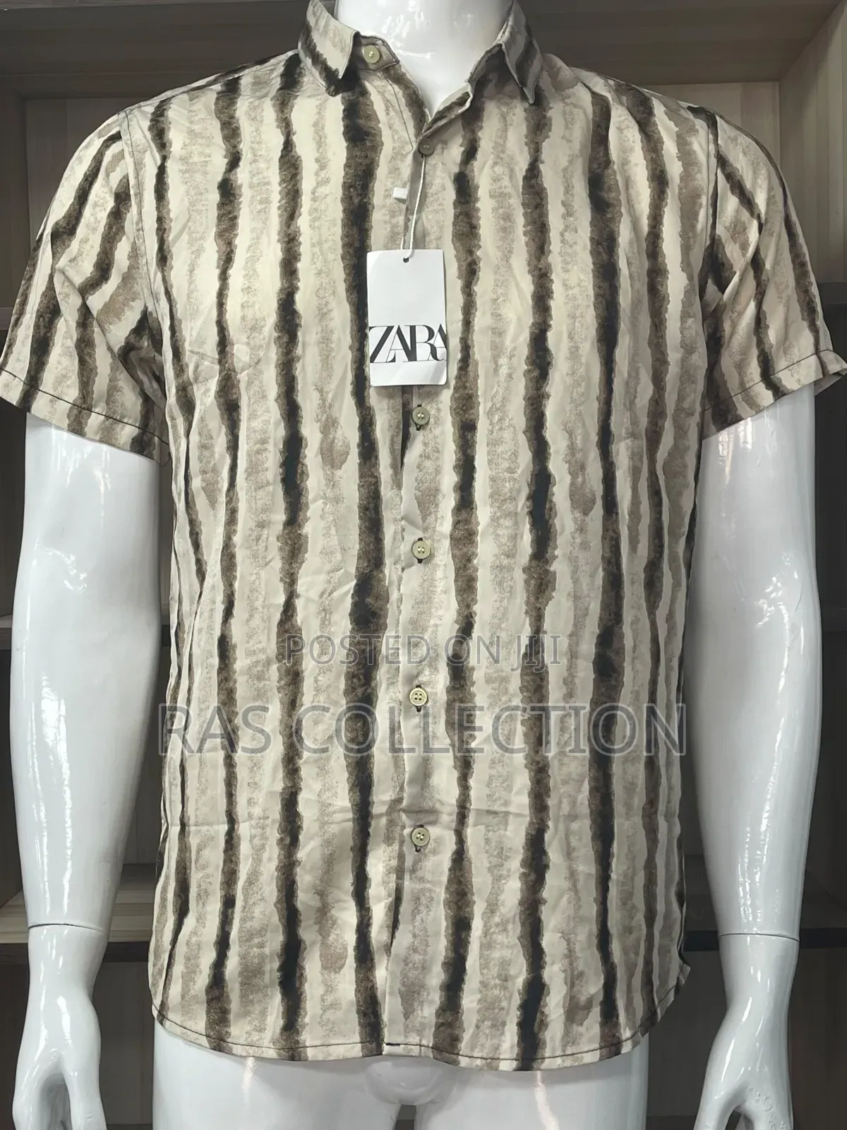 Shorts Sleeves Shirt