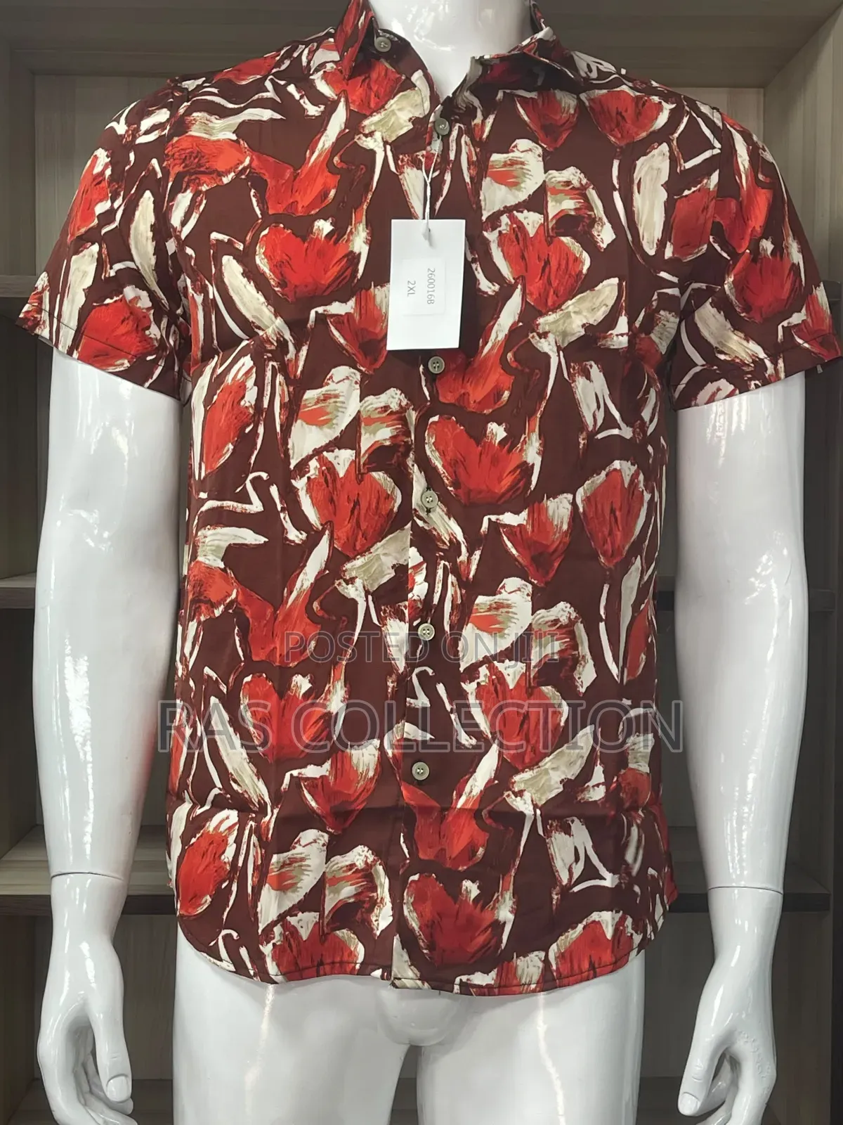 Shorts Sleeves Shirt