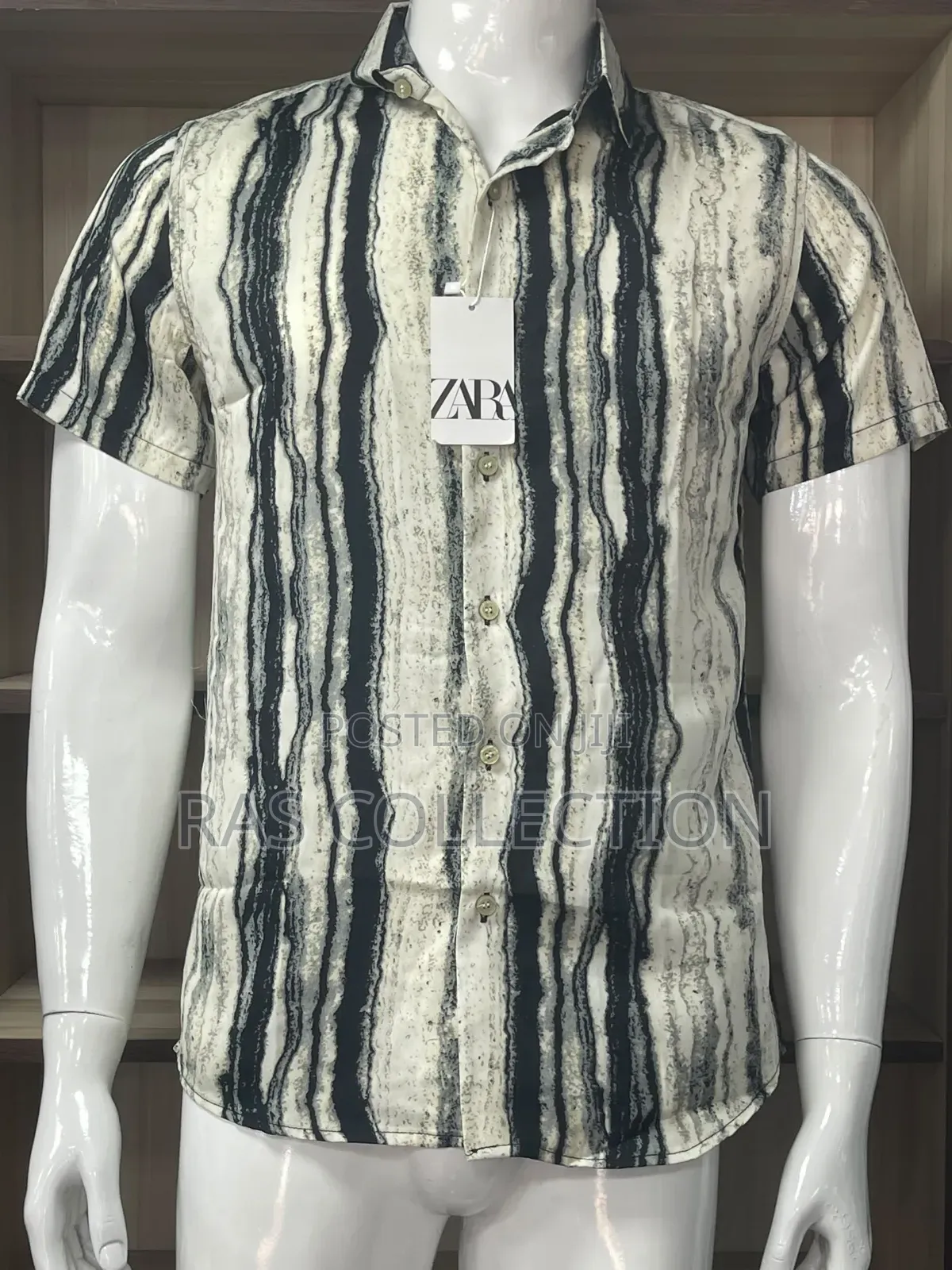 Shorts Sleeves Shirt