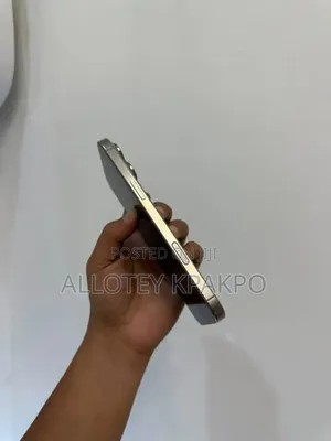 Apple iPhone 15 Pro Max 256 GB Silver