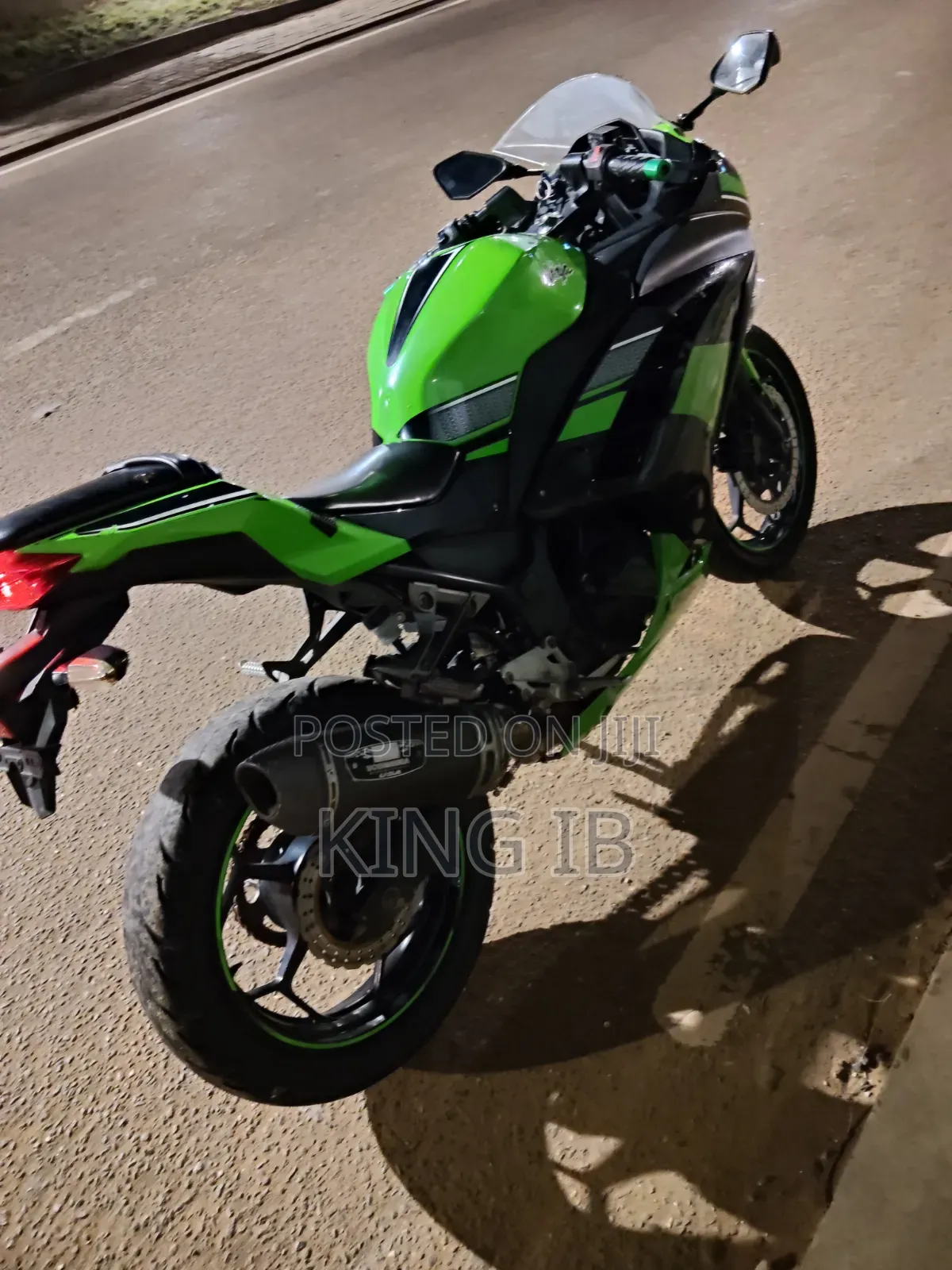 Kawasaki Ninja 300 2021 Green