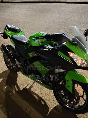 Kawasaki Ninja 300 2021 Green