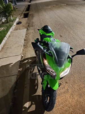 Kawasaki Ninja 300 2021 Green