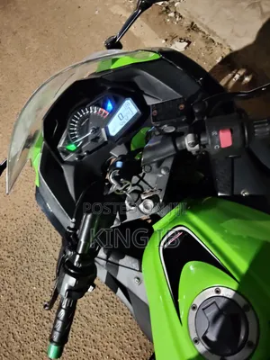 Kawasaki Ninja 300 2021 Green
