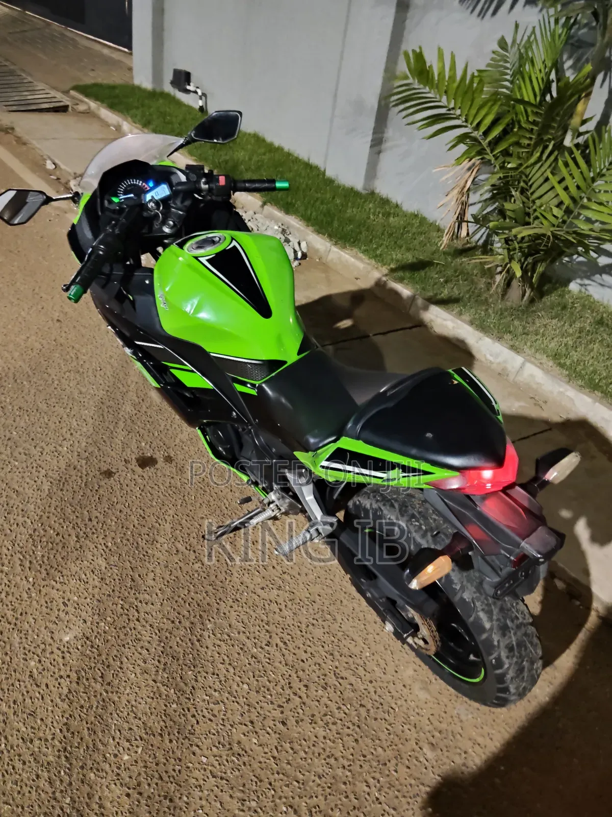 Kawasaki Ninja 300 2021 Green