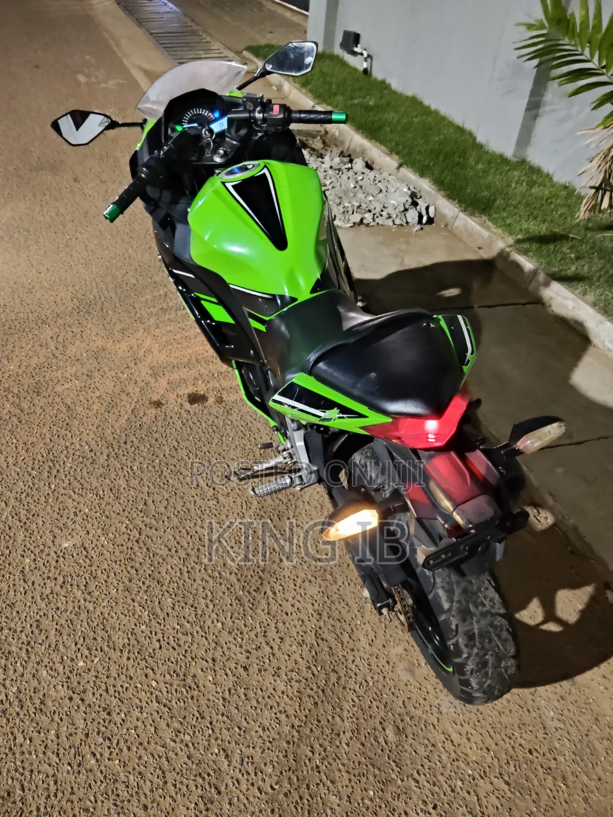 Kawasaki Ninja 300 2021 Green