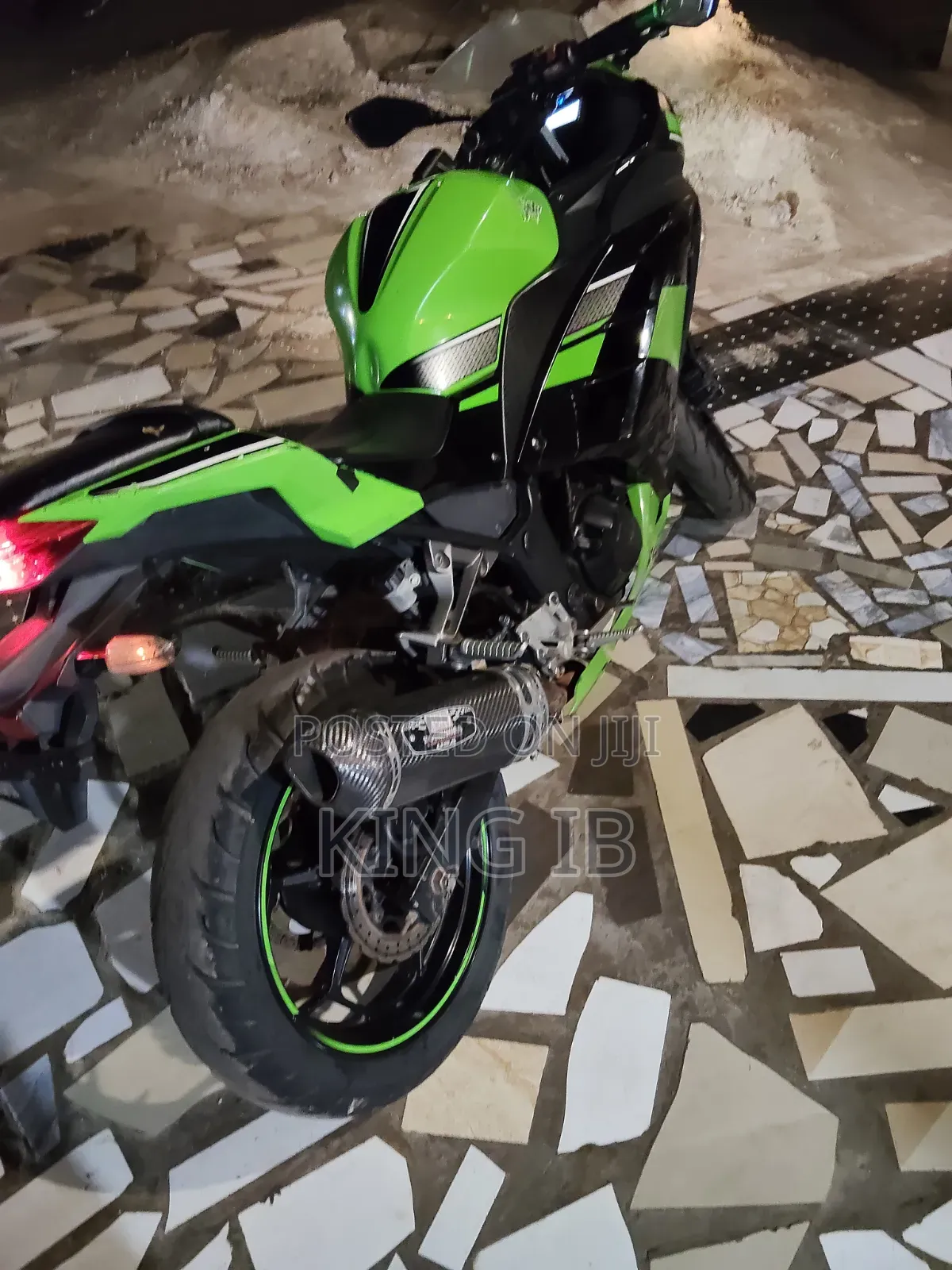 Kawasaki Ninja 300 2021 Green