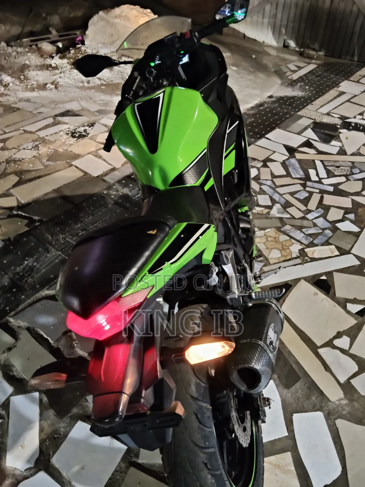 Kawasaki Ninja 300 2021 Green