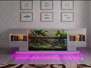 TV Stand Drawer Plus Aquarium