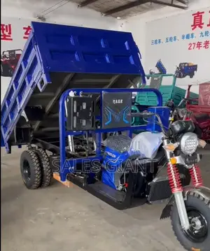 New Tricycle 2024 Blue