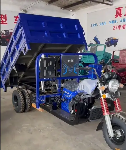 New Tricycle 2024 Blue