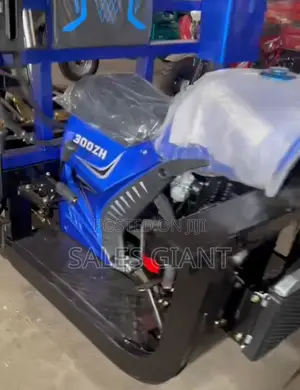 New Tricycle 2024 Blue