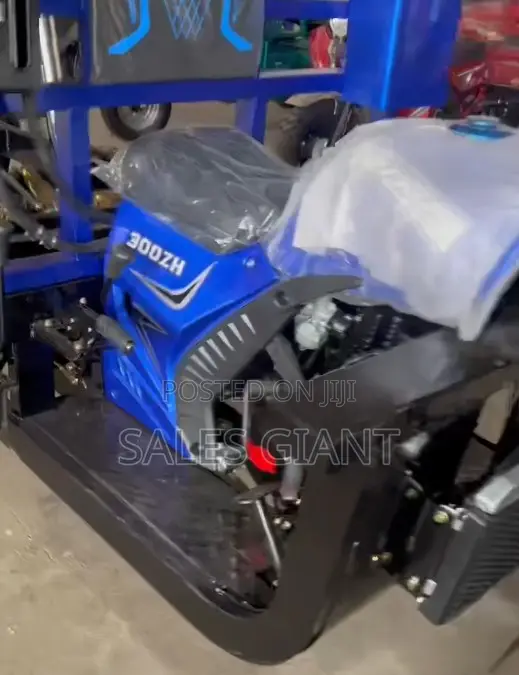 New Tricycle 2024 Blue