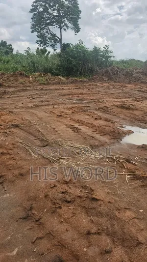 Land at Abuabugya