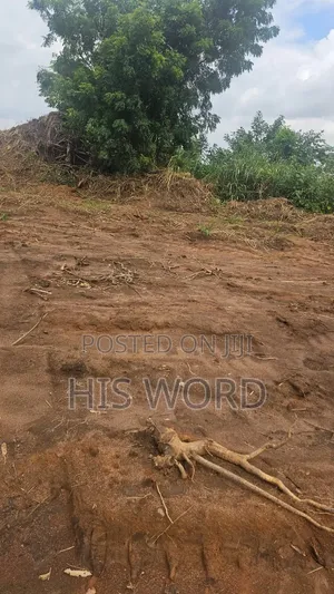 Land at Abuabugya