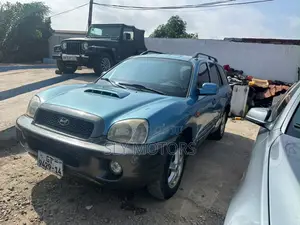 Hyundai Santa Fe 2.2 CRDi Automatic 2007 Blue