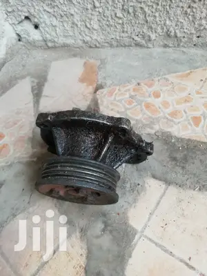 Water Puller for Nissan Micra