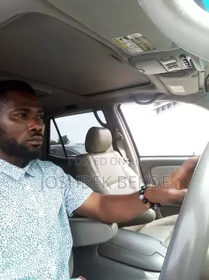 Looking for Driving Job