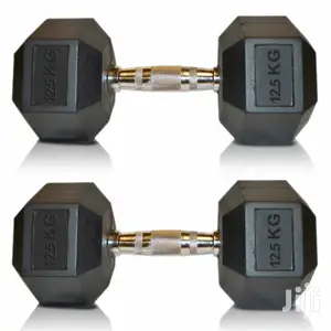 Dumbbell (12.5kg Pair)