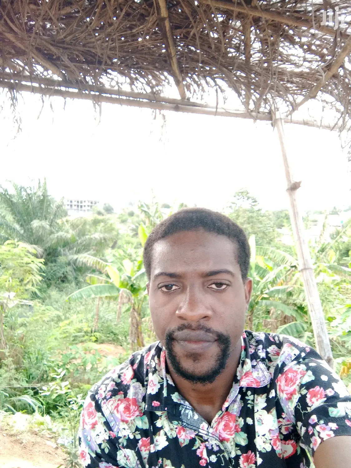 Software Developer
