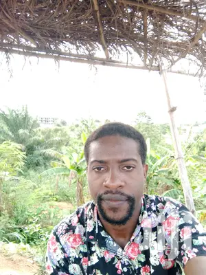 Software Developer
