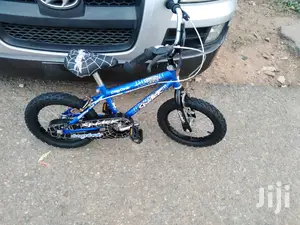 Kids Bicycle