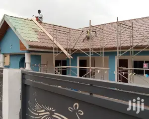 Professional Roofing Painter