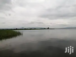 10.000+ Acres of Farm Land for Long Term Lease