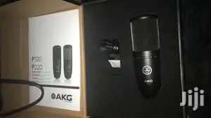 AKG P120 Studio Condenser Microphone