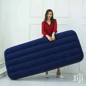 Air Mattress/Air Bed