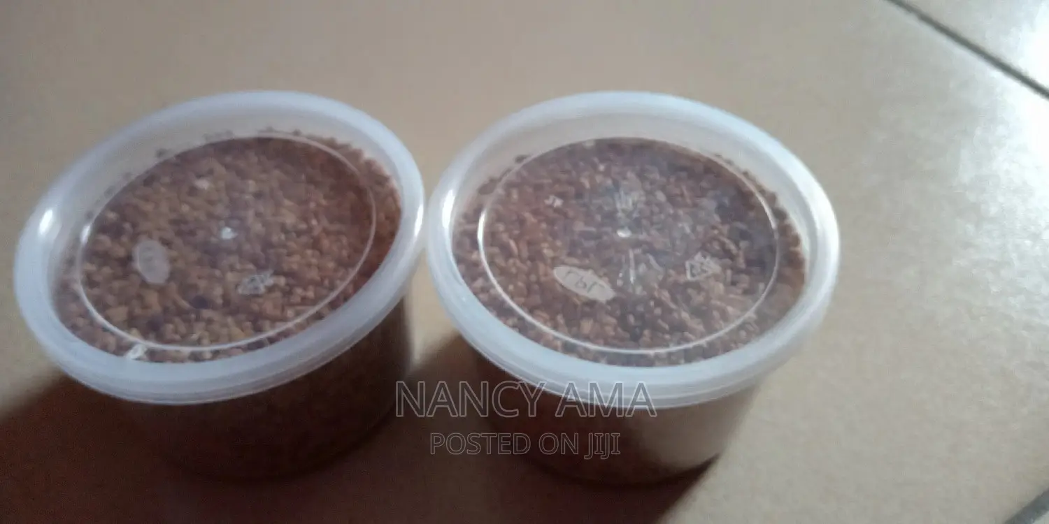 Fenugreek Seed